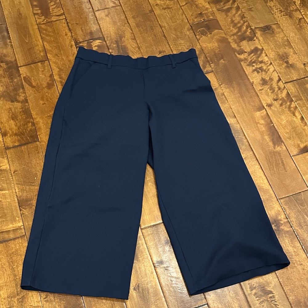 Navy Blue Petite Pants Size 20W Petite‎